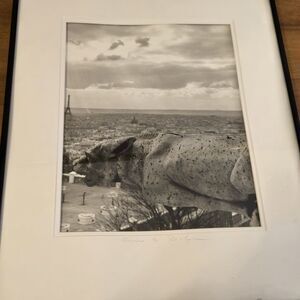 Original Photograph 1/20 Gargoyle By Robert W K, 20 X 16